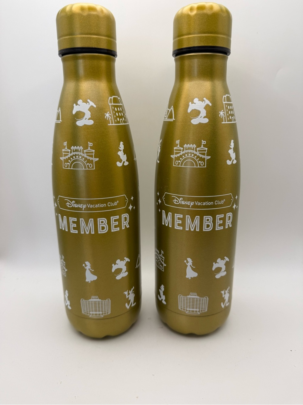 2 Disney Vacation Club DVC Member 2022 Gold Stainless Steel Water Bottles